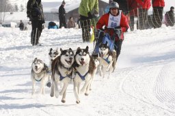 Lenk 2012 SM